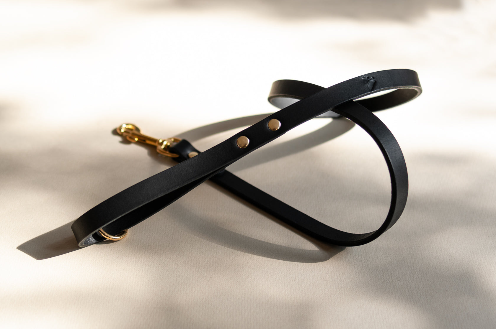 Classic Leather Lead