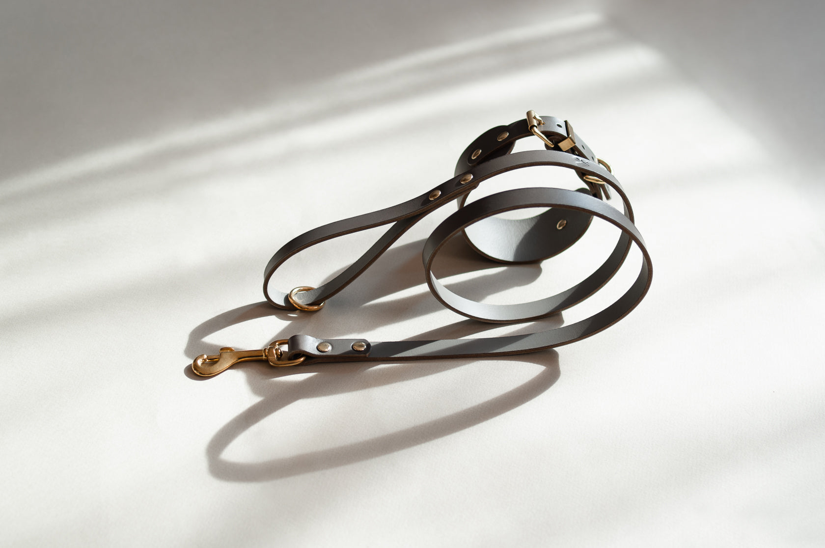 Classic Leather Lead