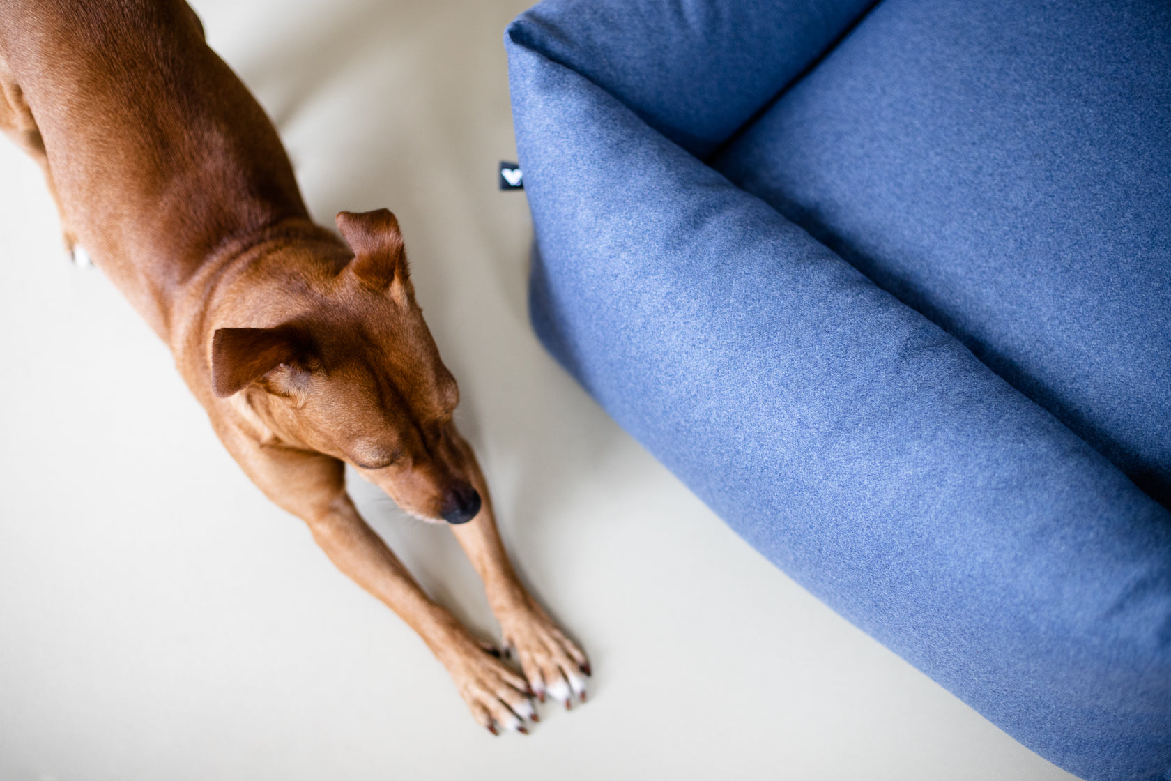 Fort - Bolster Bed