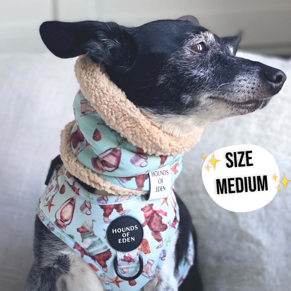 Steel Leopard Dog Snood