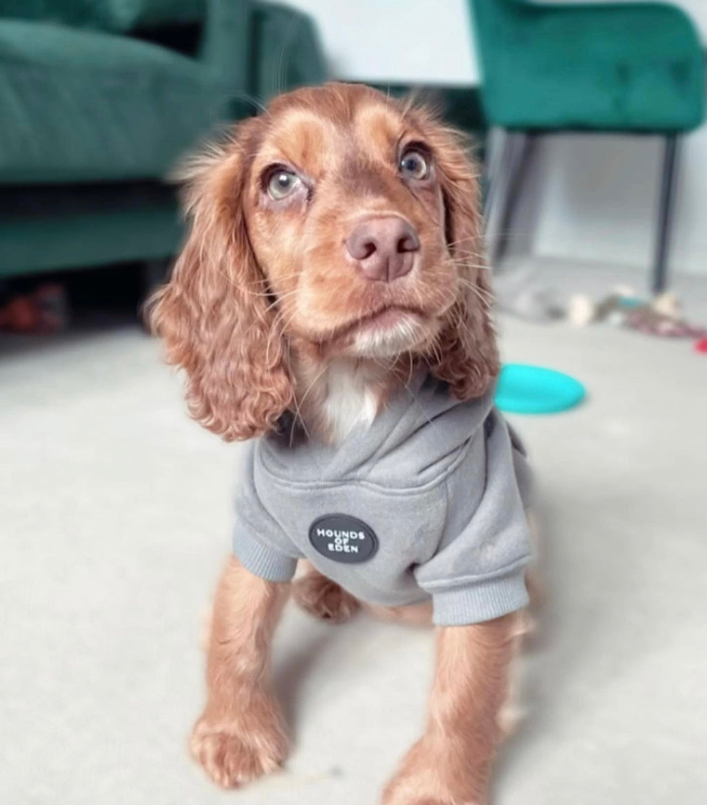 Dog Hoodie - Charcoal Grey