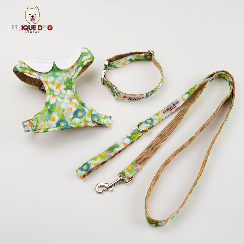 London Garden - Greenwich Collar