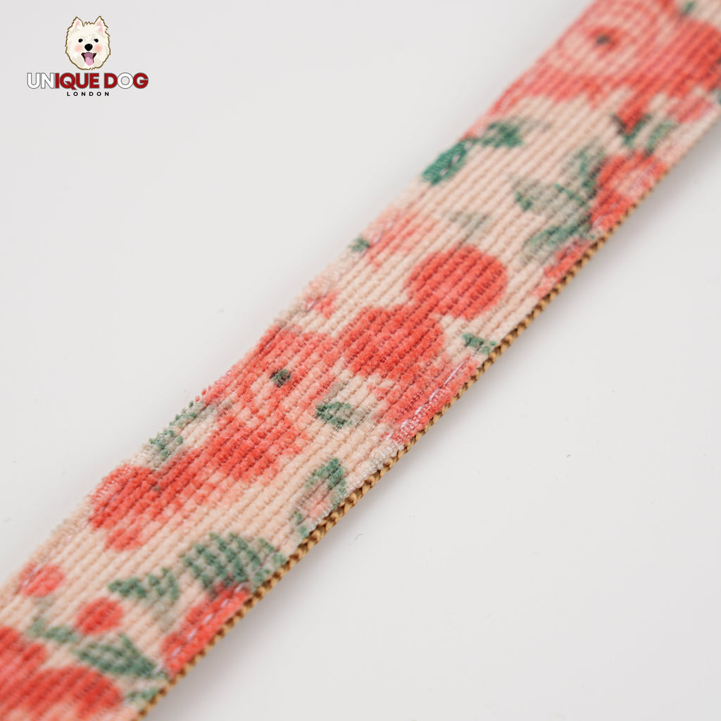 Countryside Garden - Chatsworth Collar