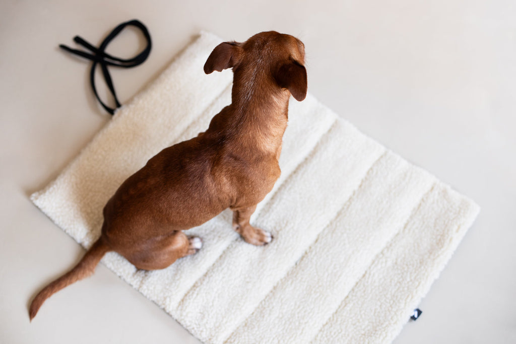Travel Mat - Sherpa