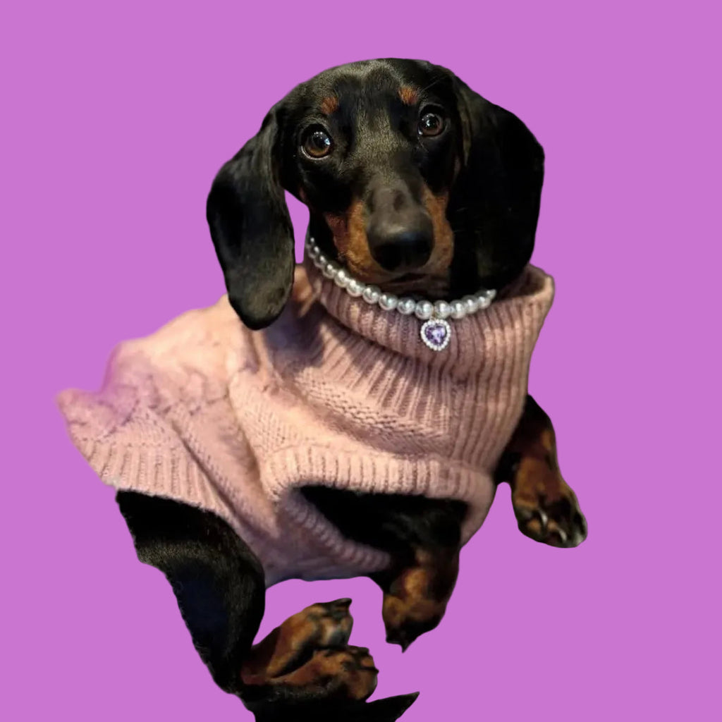Royal Pearl Pet Necklace – Sapphire Heart Charm | Elegant Dog & Cat Jewelry