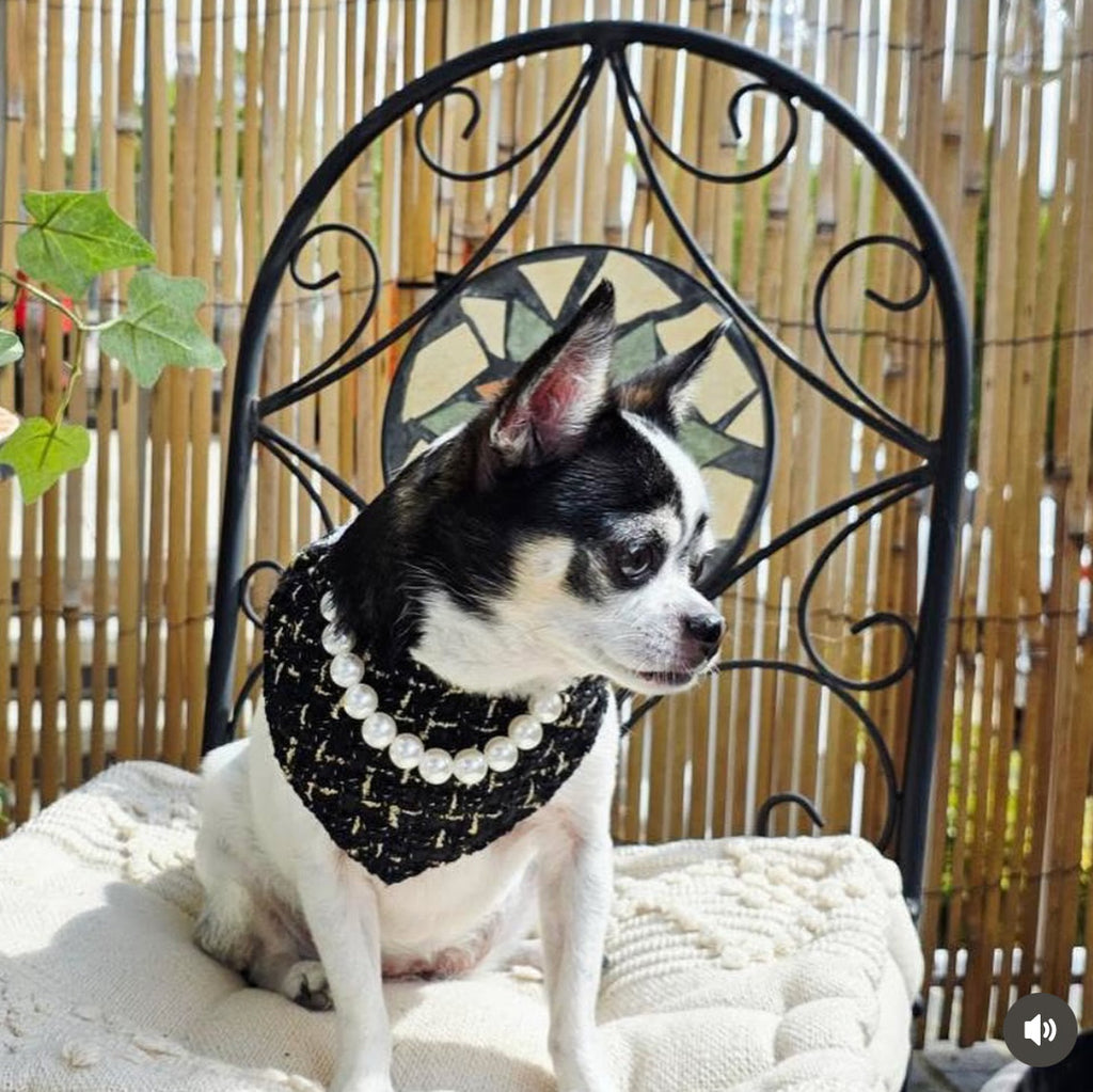 Chanel-Inspired Pearl Pet Bib – Black Classic Tweed for Stylish Pets