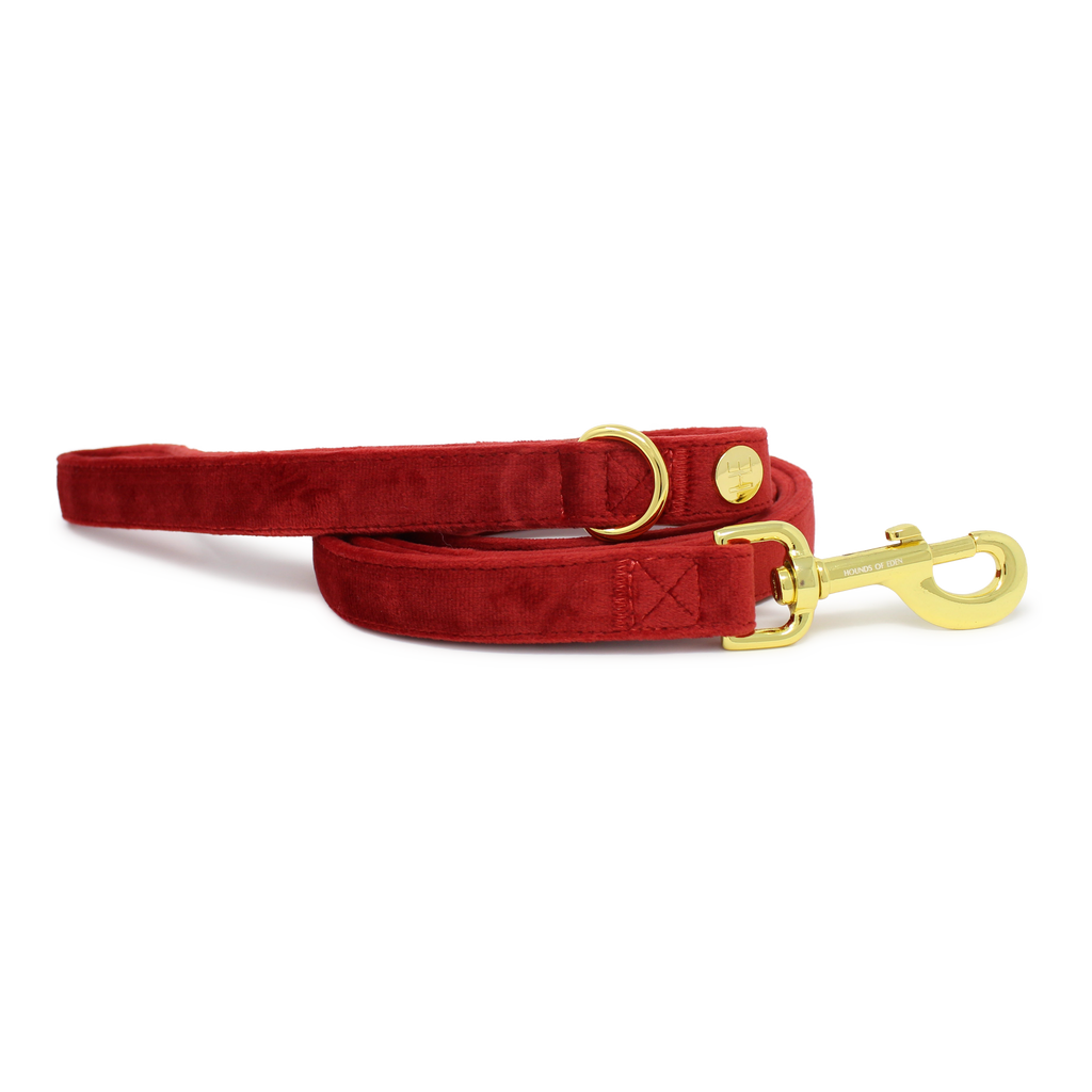Ruby Red Velvet Harness