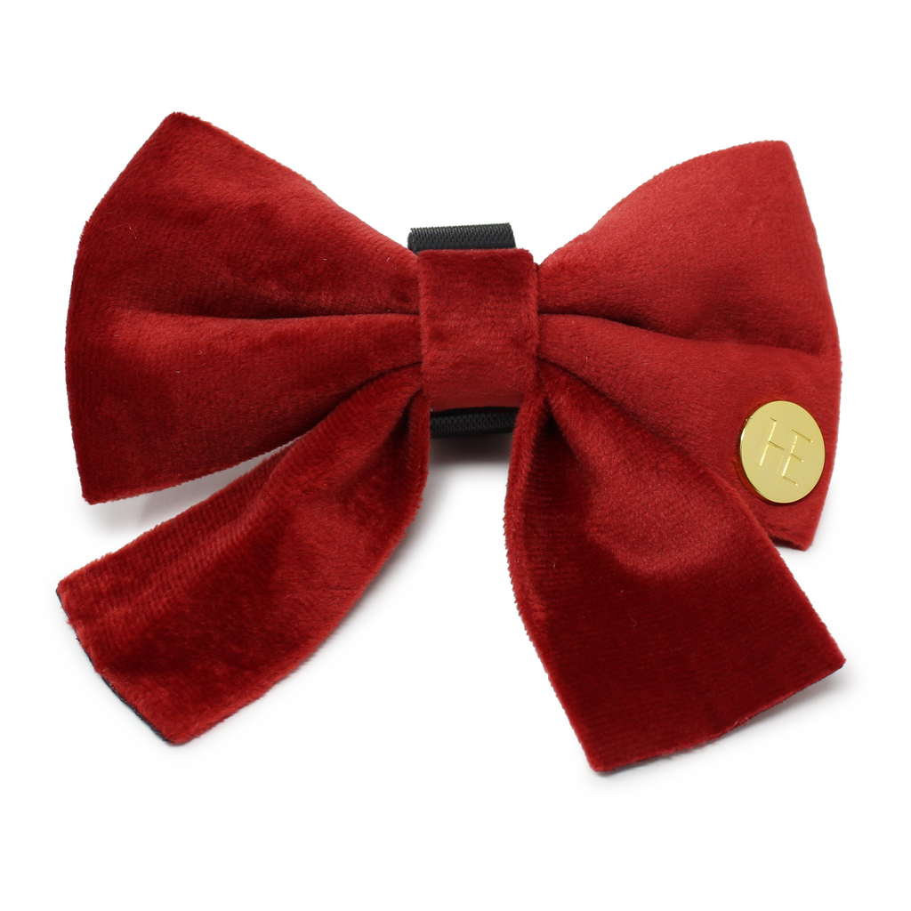 Ruby Red Velvet Harness