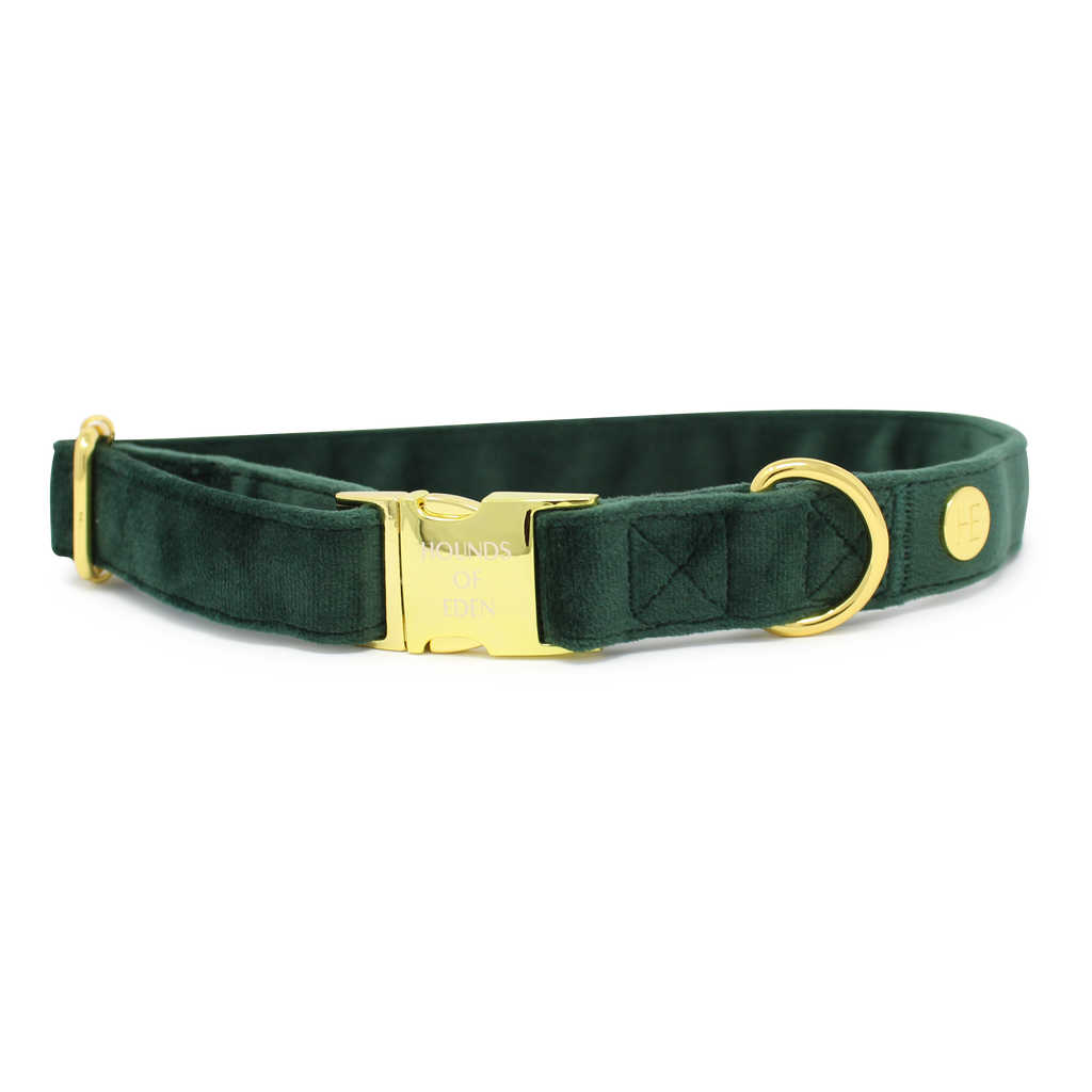 Olive Green Velvet Harness