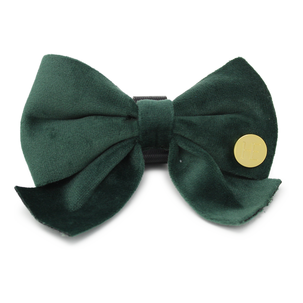 Olive Green Velvet Harness