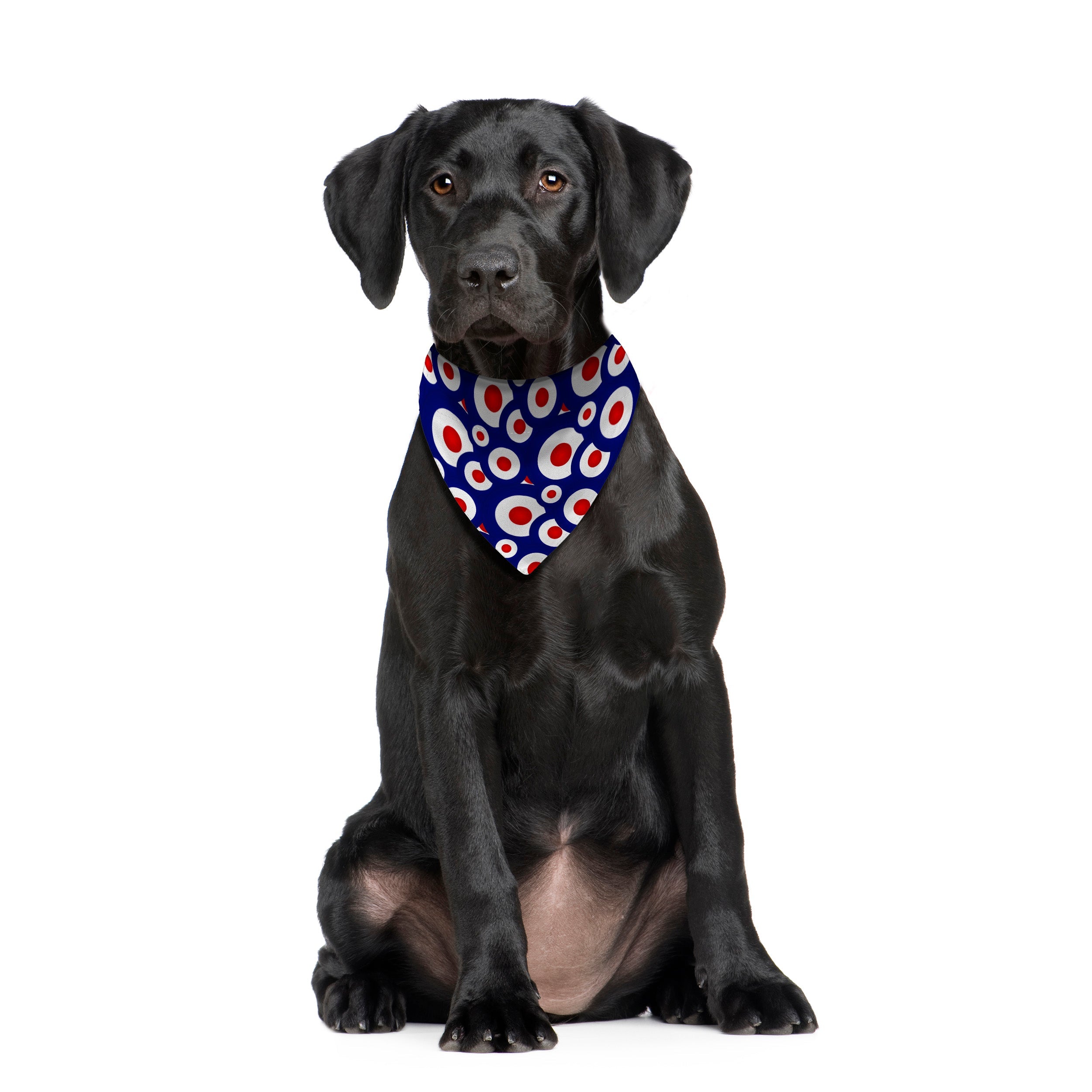 MOD - Blue - Dog Bandana - 4 Sizes