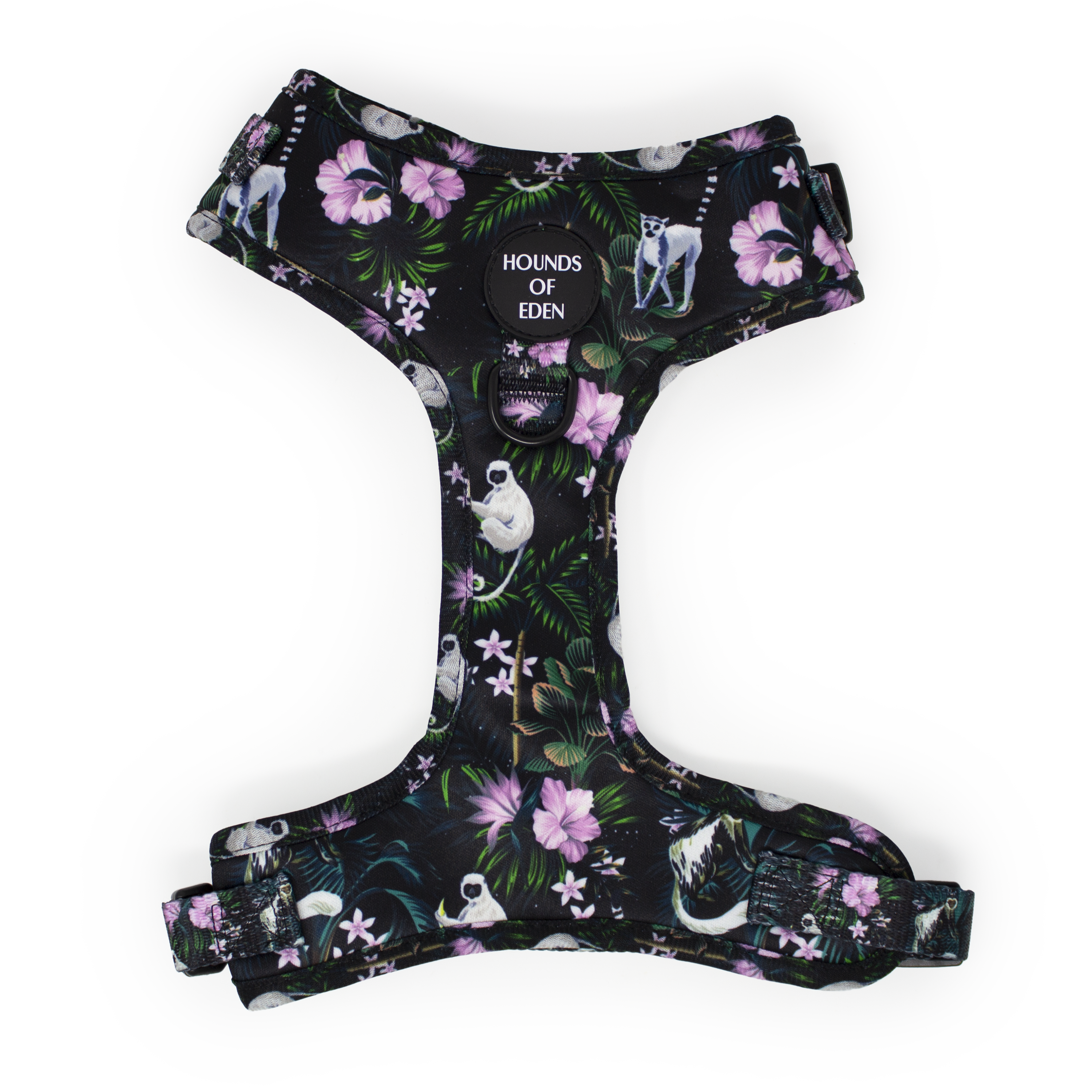 Midnight Madagascar Design Dog Collar