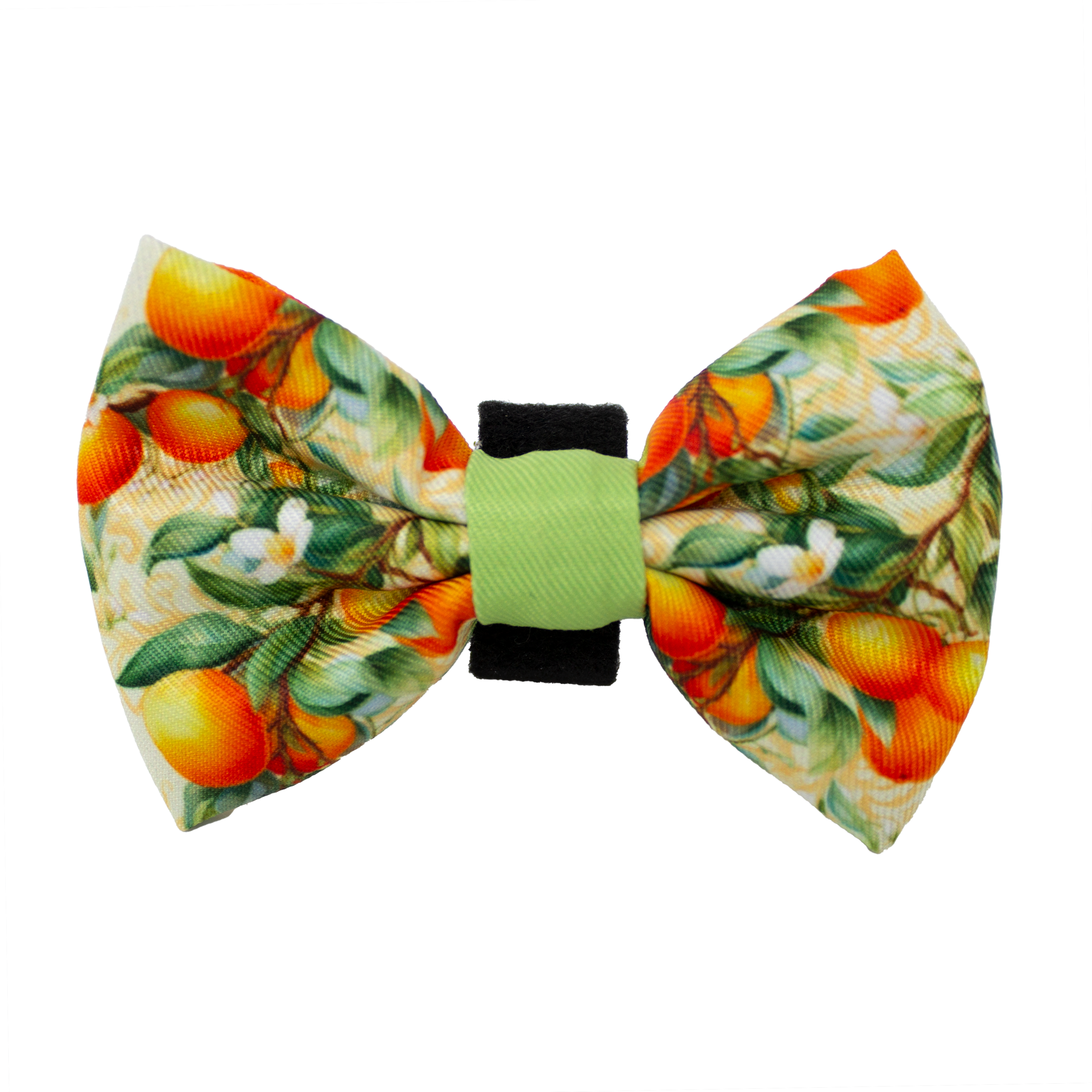 Simply the Zest - Oranges Dog Collar