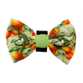 Simply the Zest - Oranges Dog Bow Tie