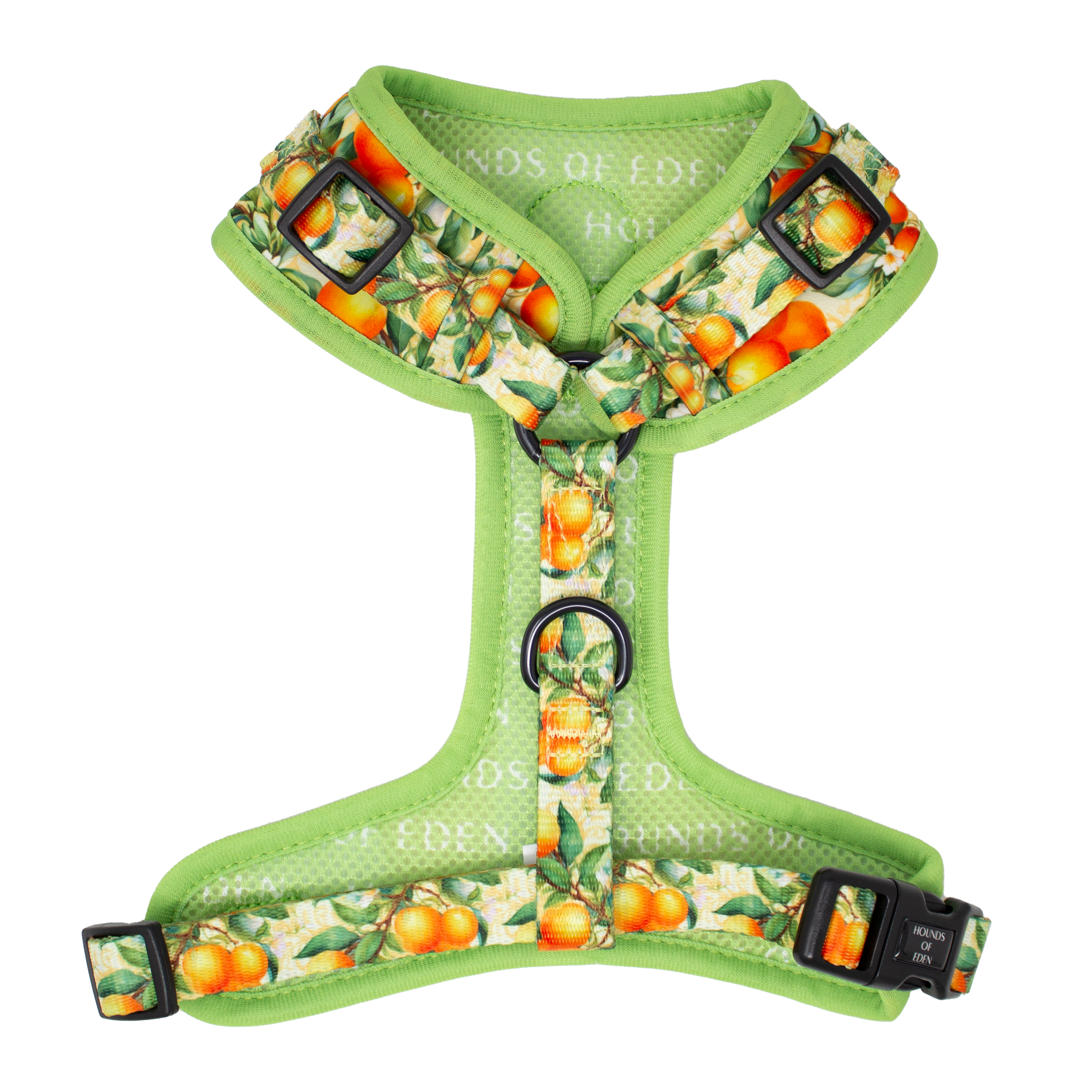 Simply the Zest - Oranges Dog Collar