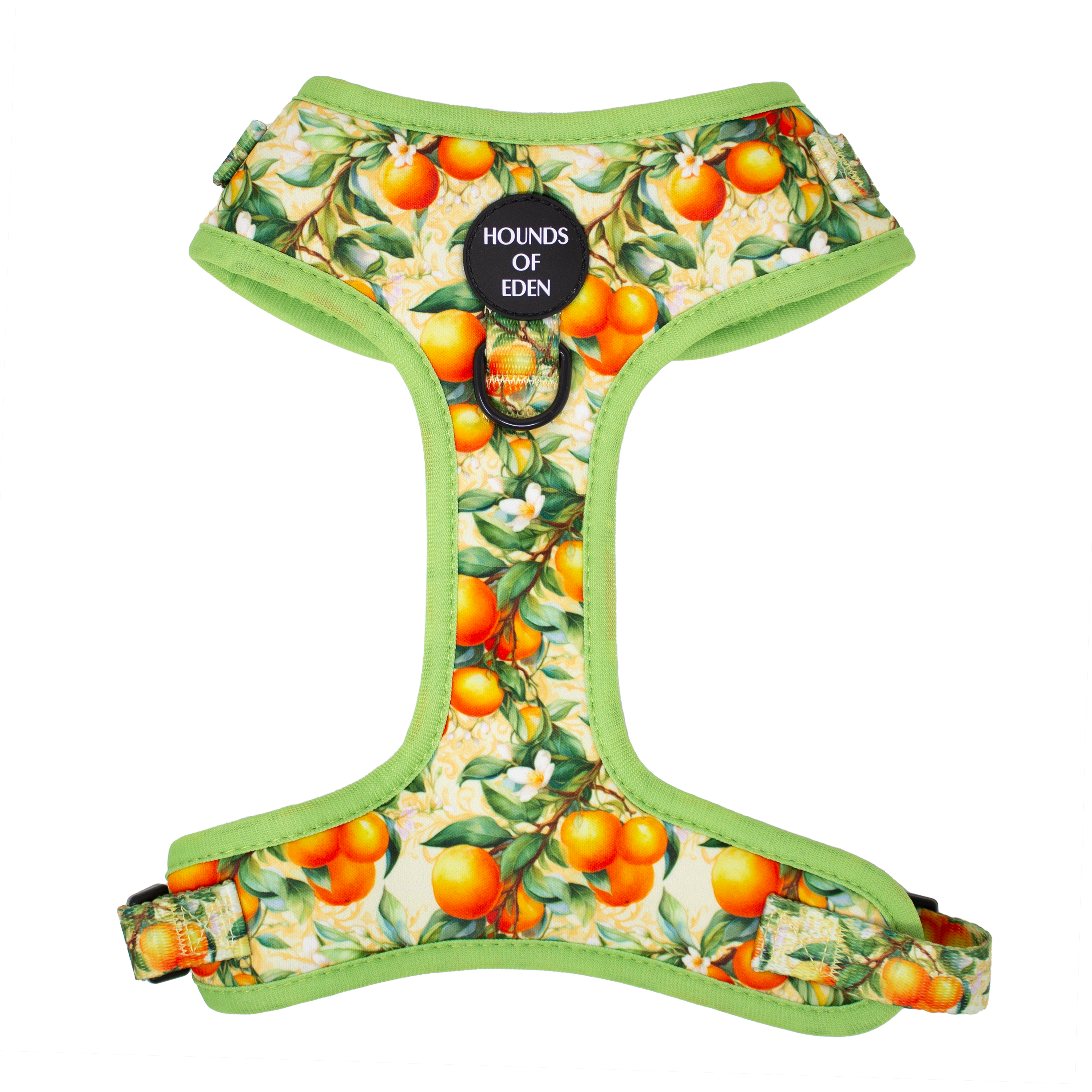 Simply the Zest - Oranges Dog Harness
