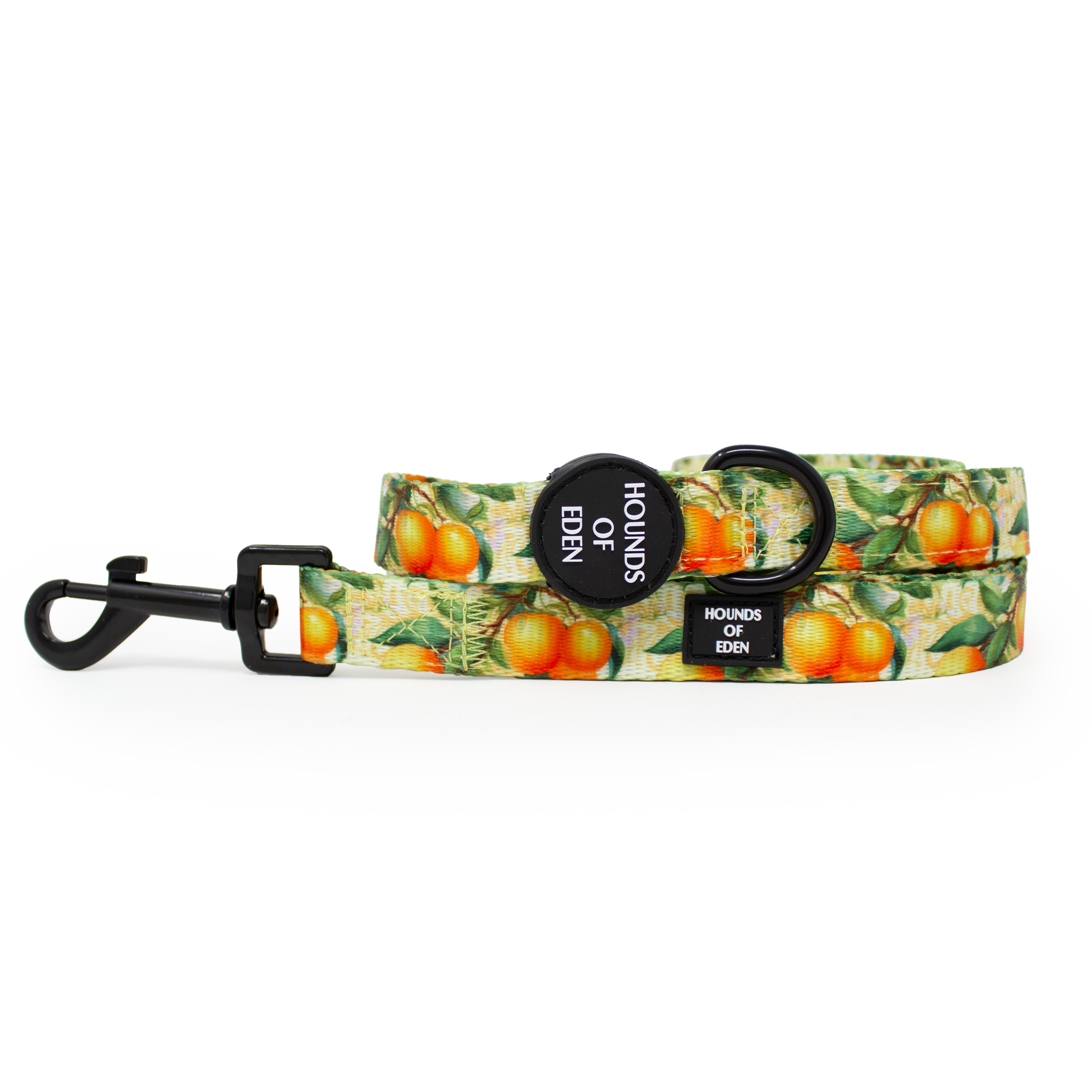 Simply the Zest - Oranges Dog Collar