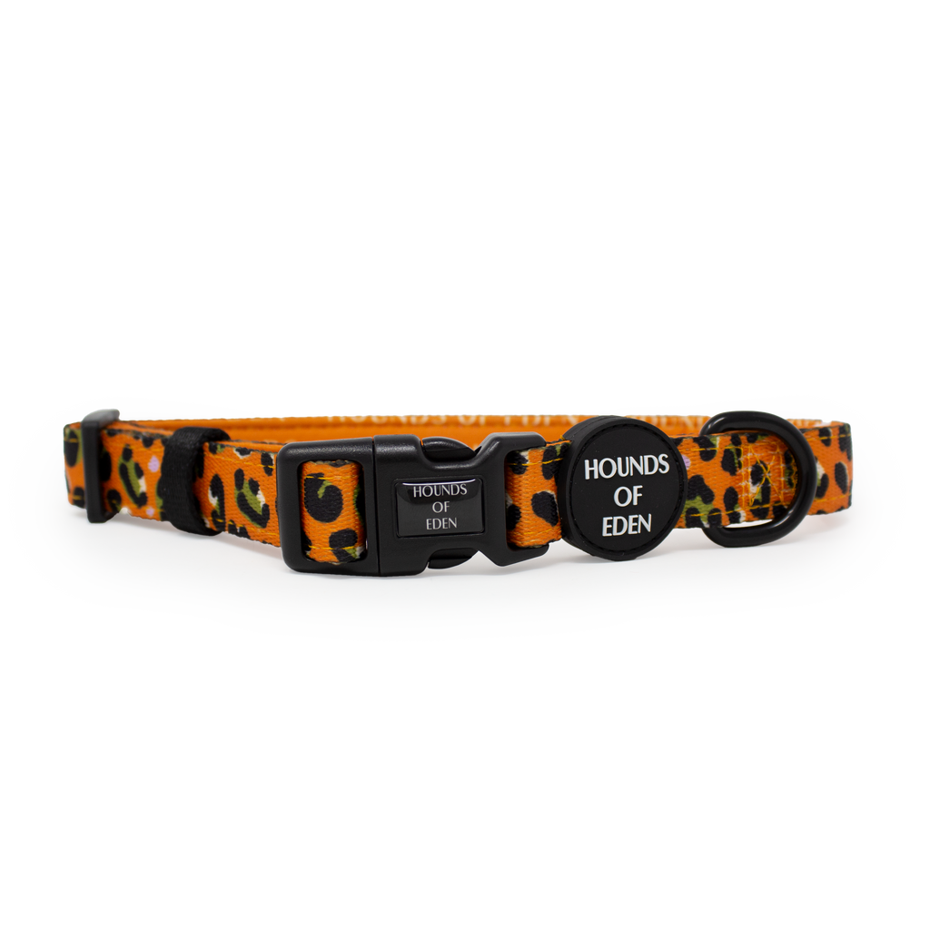 Burnt Orange Leopard Design Dog Harness