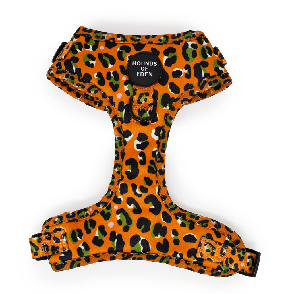 Burnt Orange Leopard Design Dog Harness