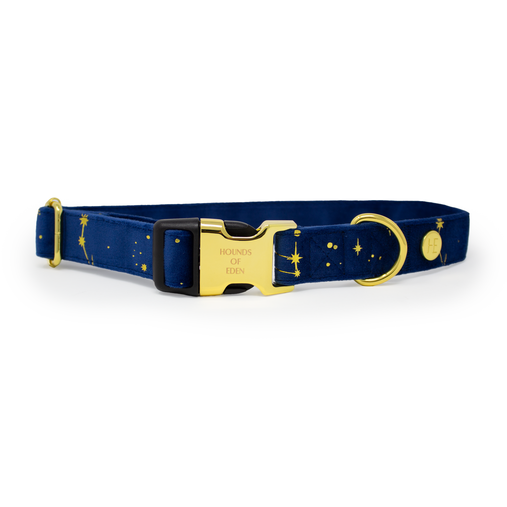 Sapphire Stars Velvet Harness