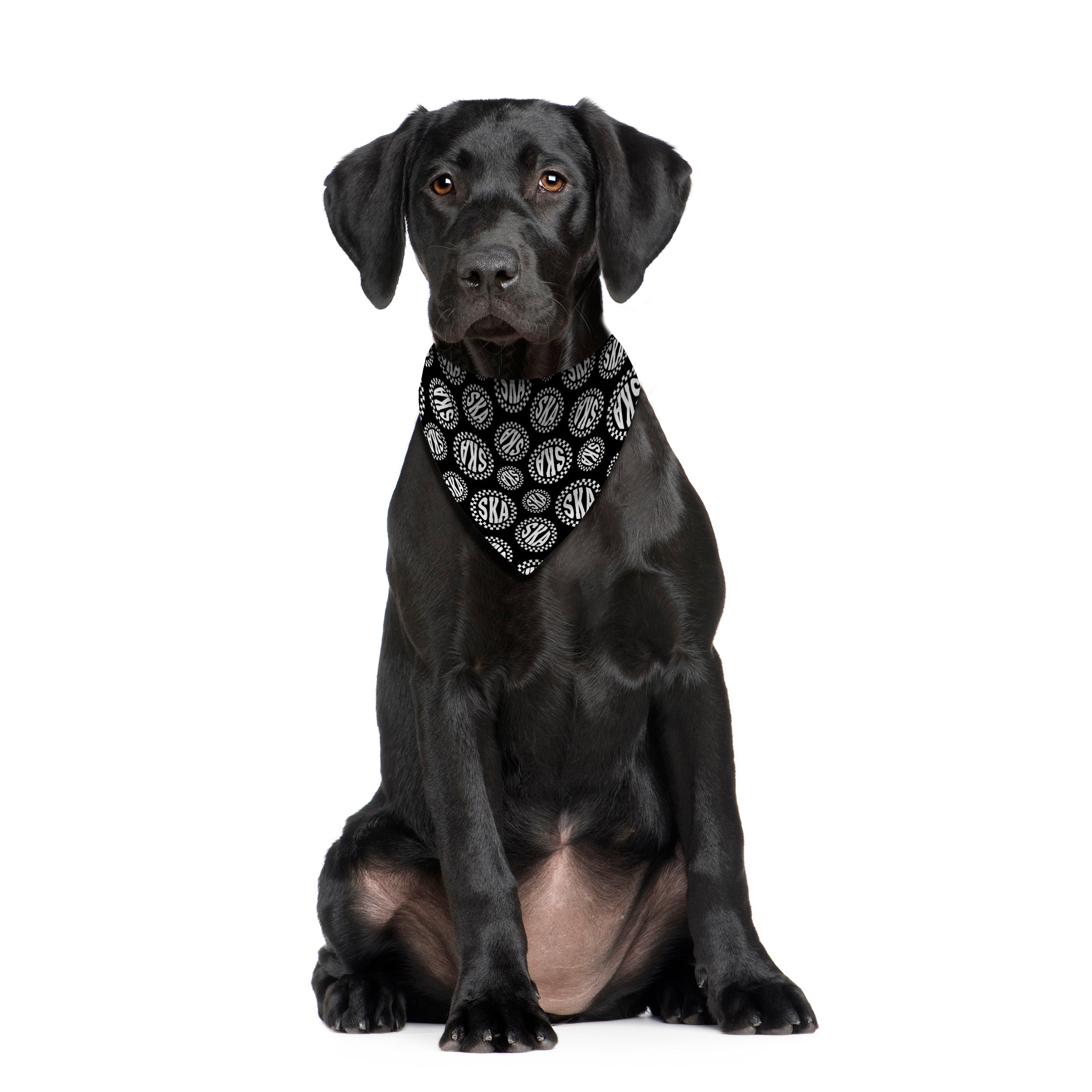 Ska Checks - Dog Bandana - 4 Sizes