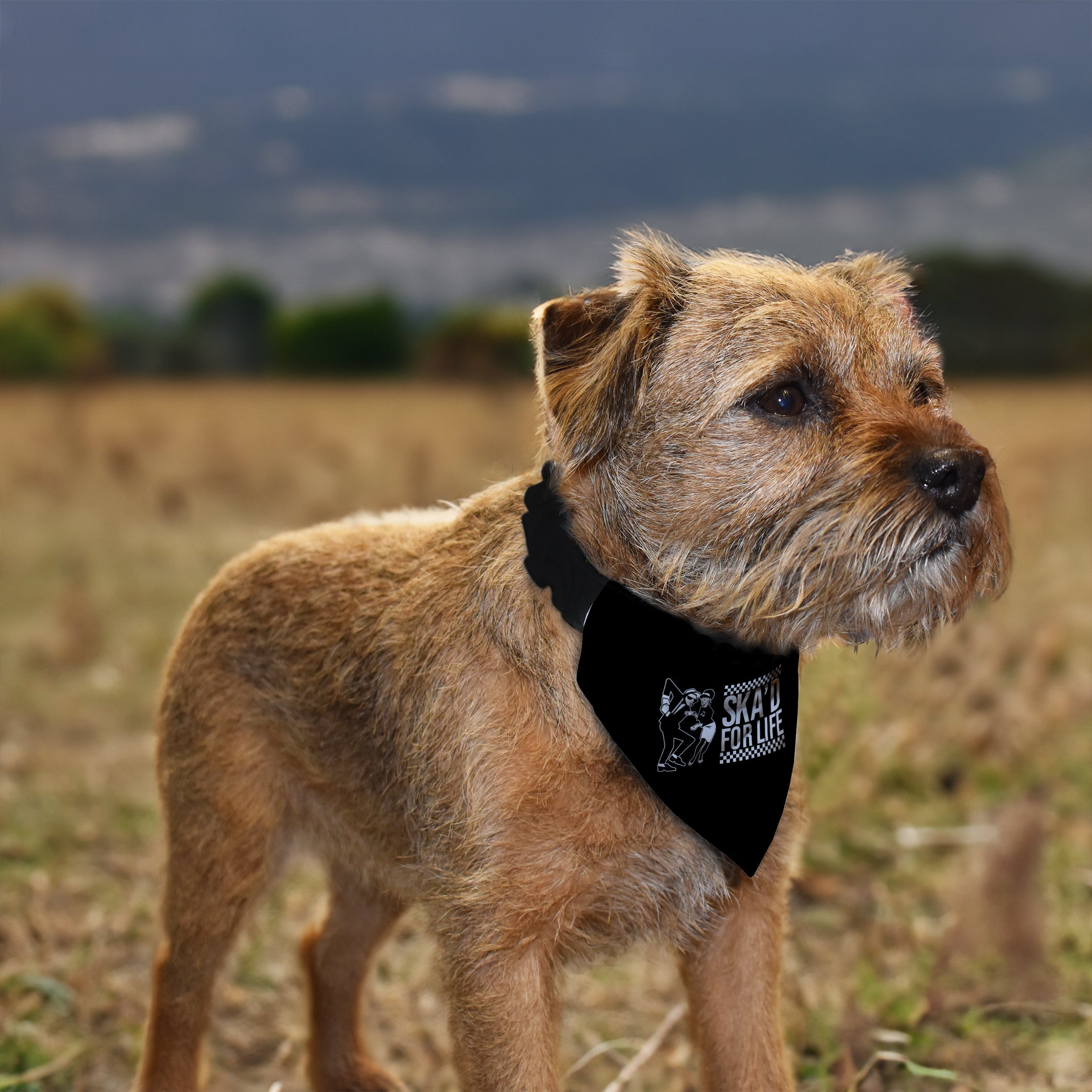 Ska'd For Life - Dog Bandana - 4 Sizes