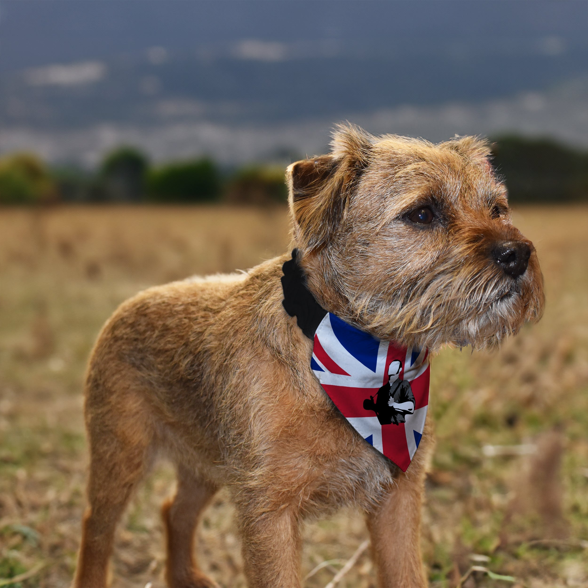 Skinhead Union Jack - Dog Bandana - 4 Sizes