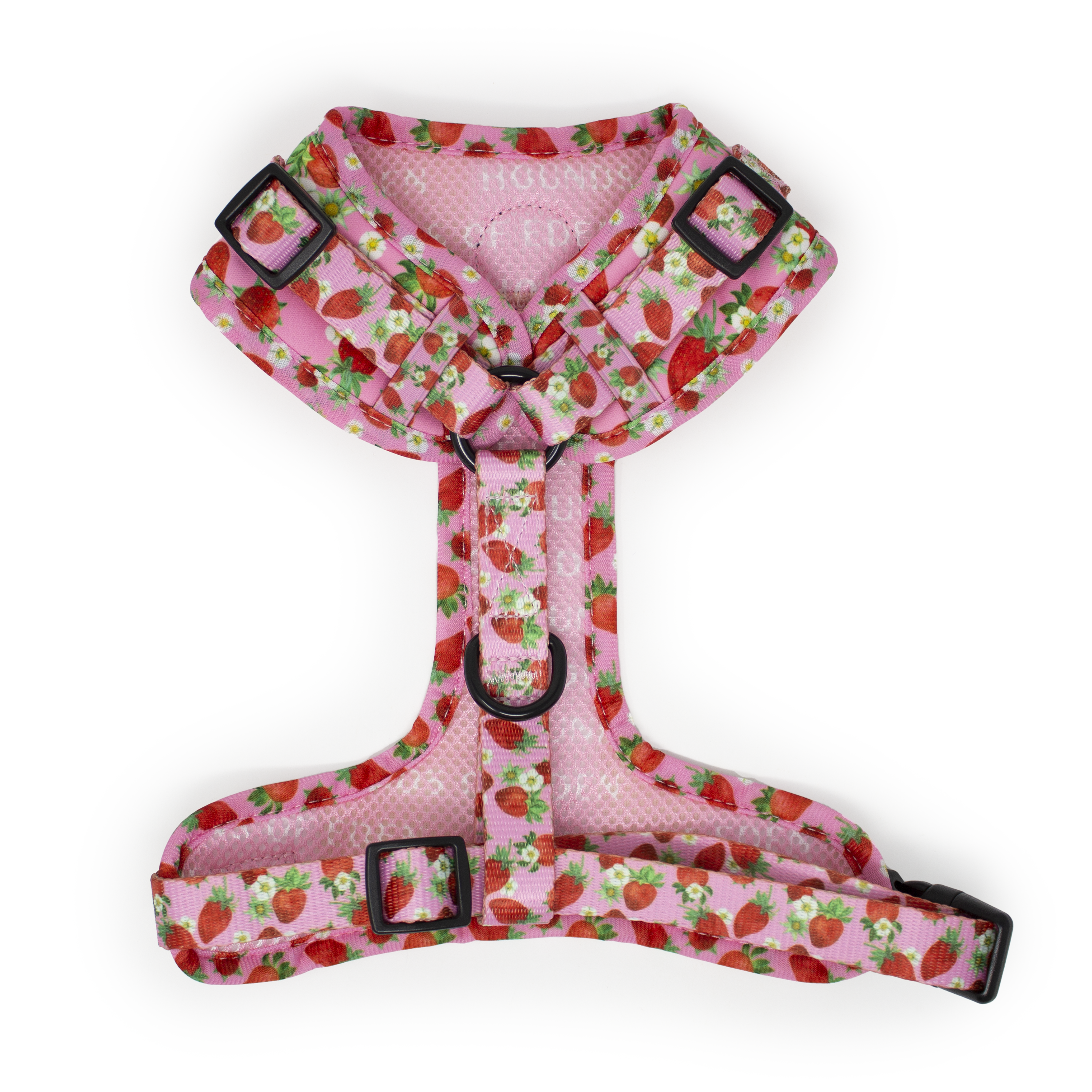 Strawberry Patch Design Dog Collar