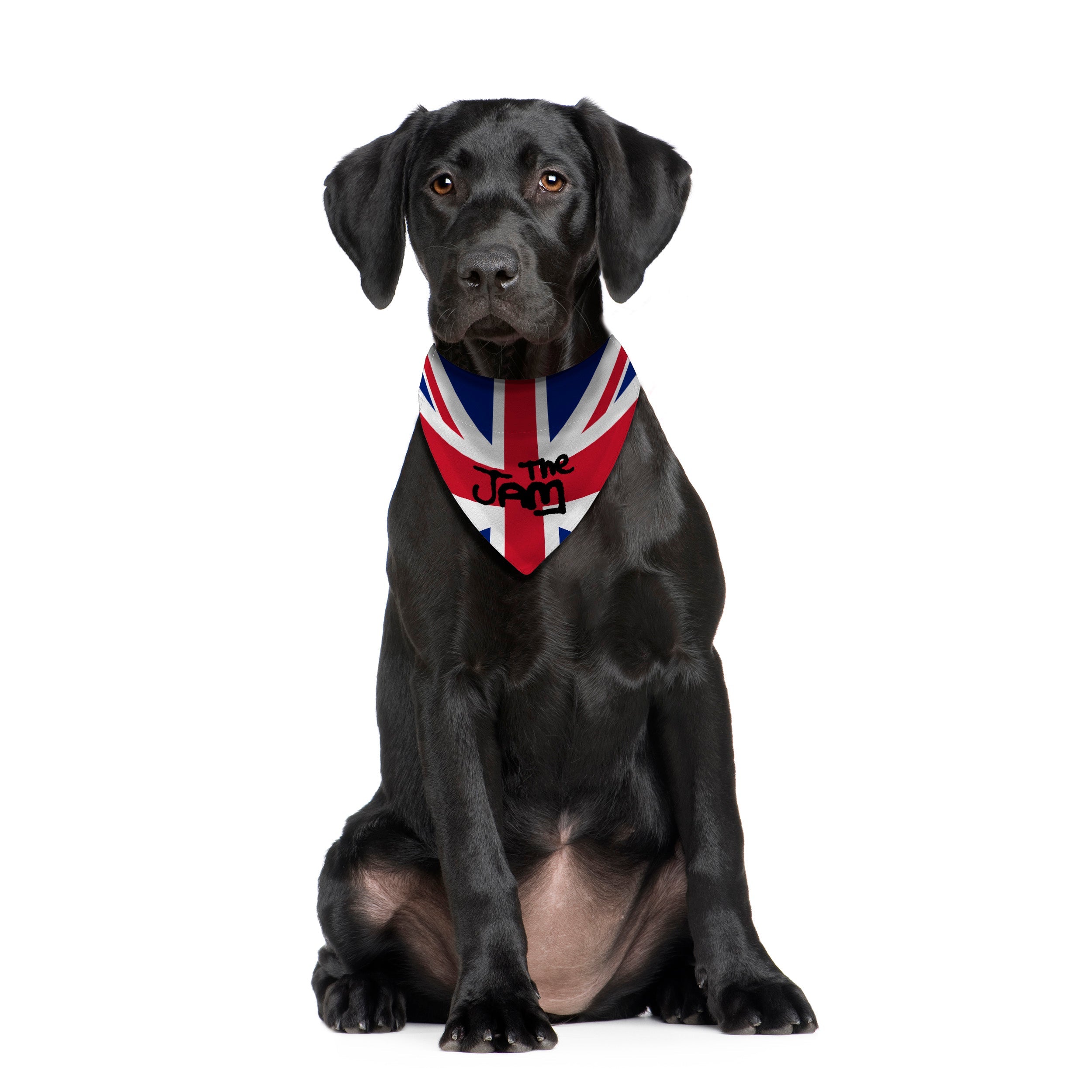 The Jam - Dog Bandana - 4 Sizes