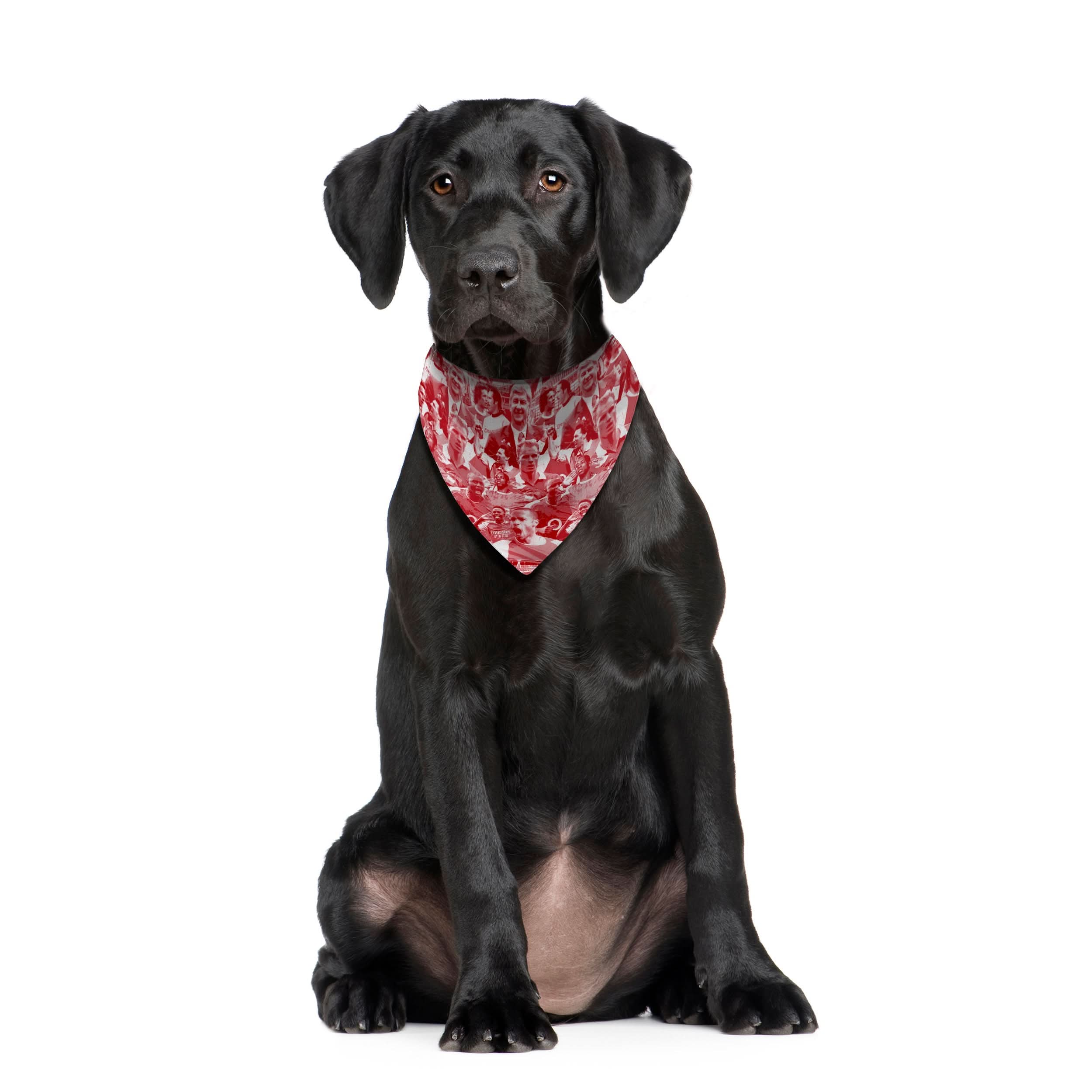 The Gooners Montage - Dog Bandana - 4 Sizes