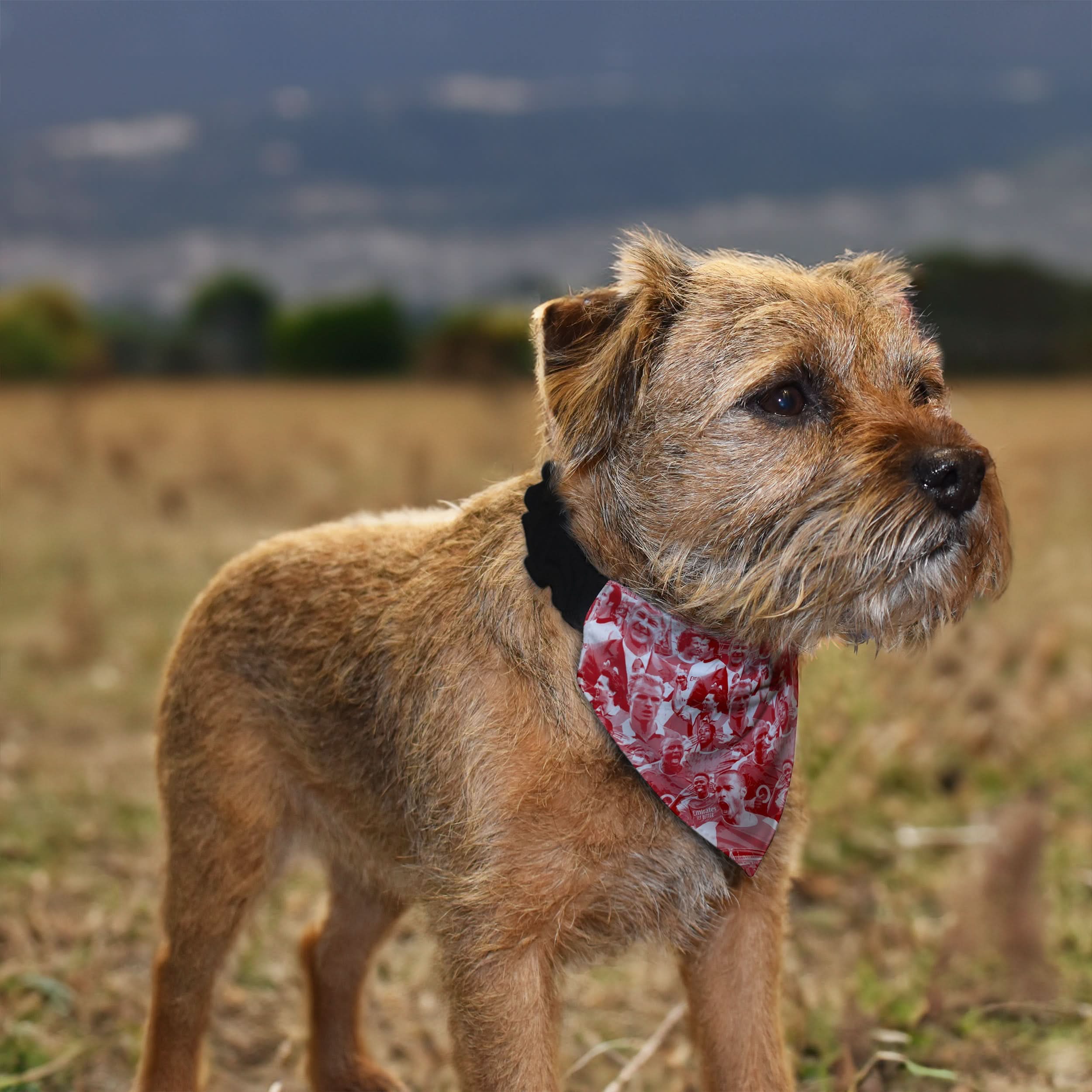 The Gooners Montage - Dog Bandana - 4 Sizes