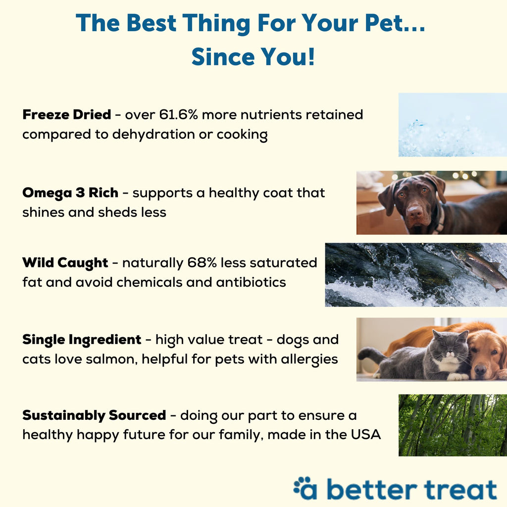 A Better Treat Freeze-Dried Salmon Dog Treats — Wild-Caught, Single-Ingredient