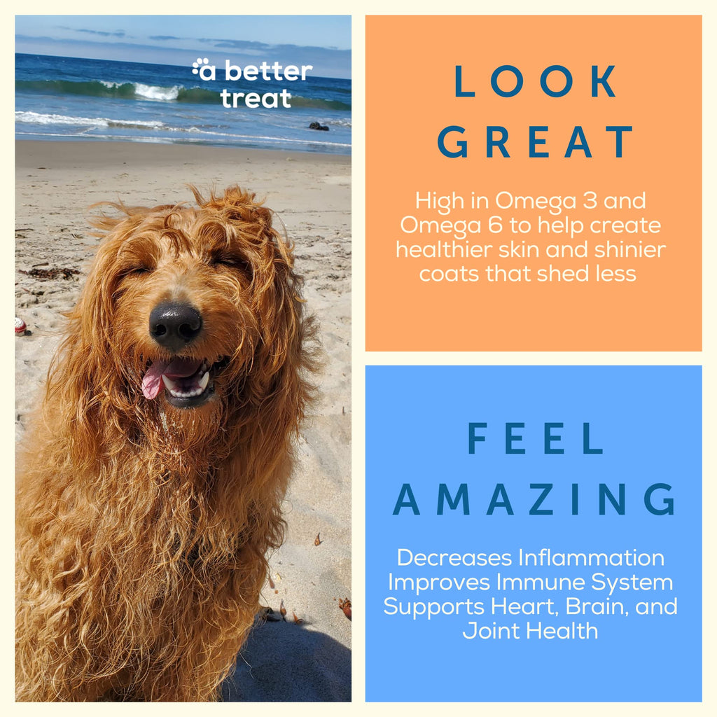 A Better Treat Freeze-Dried Salmon Dog Treats — Wild-Caught, Single-Ingredient