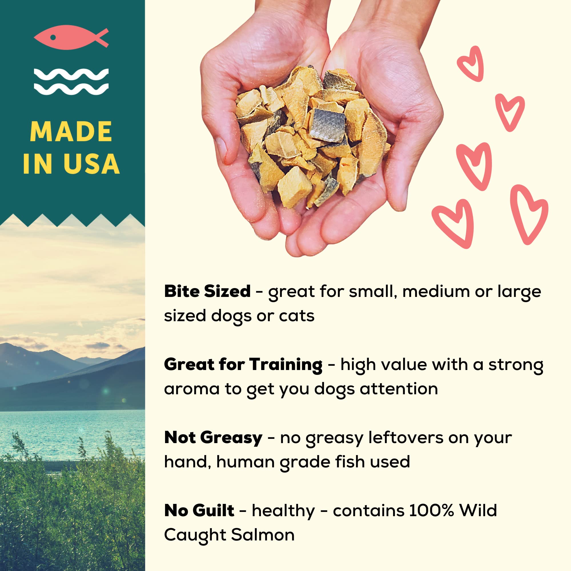 A Better Treat Freeze-Dried Salmon Dog Treats — Wild-Caught, Single-Ingredient