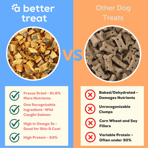 A Better Treat Freeze-Dried Salmon Dog Treats — Wild-Caught, Single-Ingredient