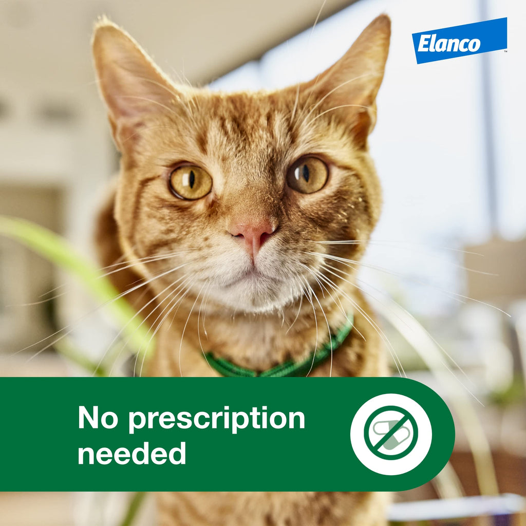 Advantage XD Large Cat Flea Treatment – 2-Month Doses for 9+ Lbs