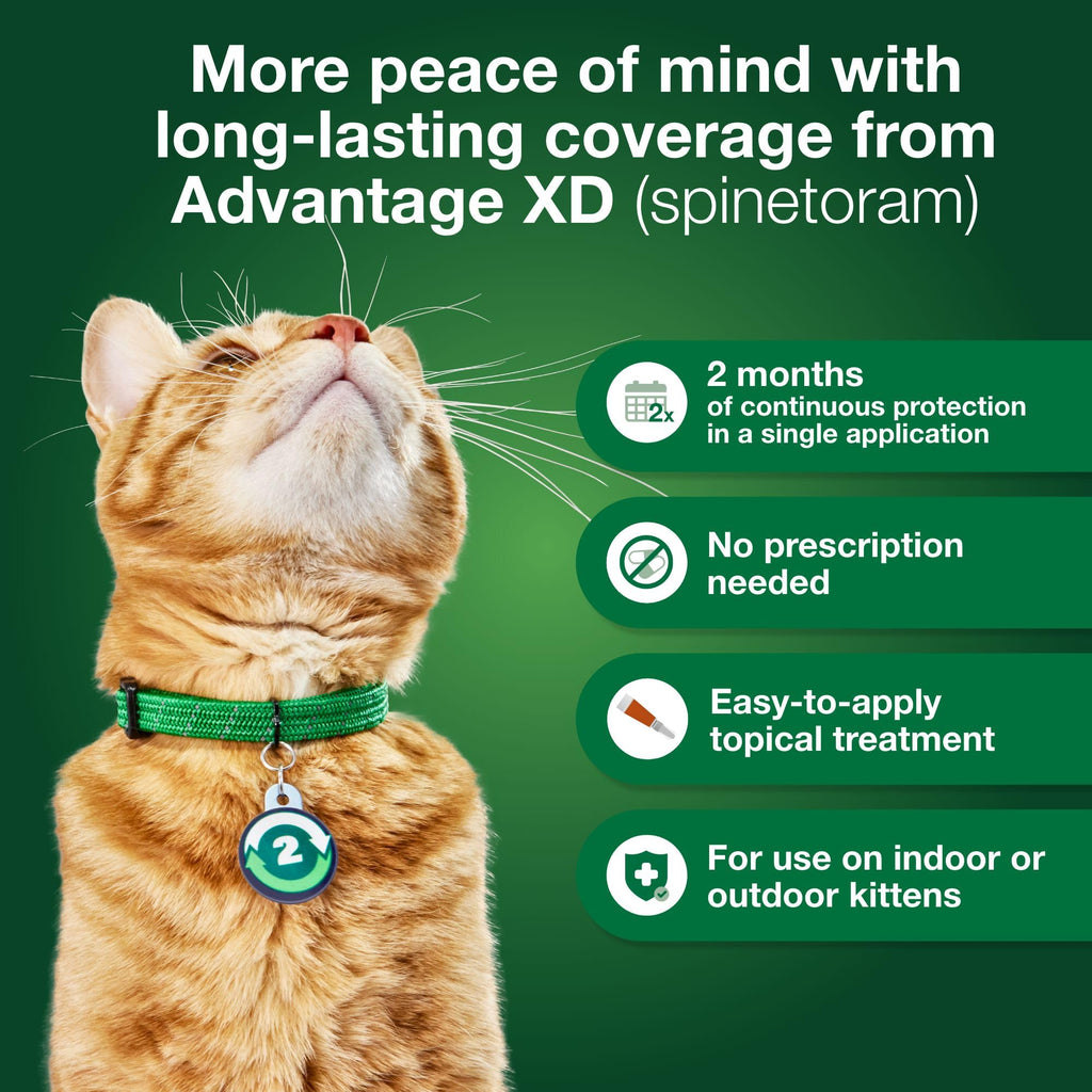 Advantage XD Large Cat Flea Treatment – 2-Month Doses for 9+ Lbs