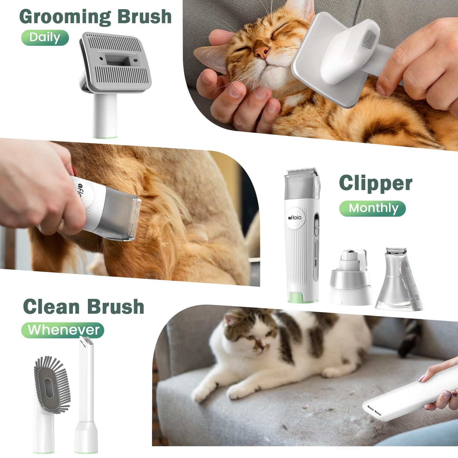 Afloia 6-in-1 Dog Grooming Kit with Vacuum Suction | Low Noise, Cordless Clipper