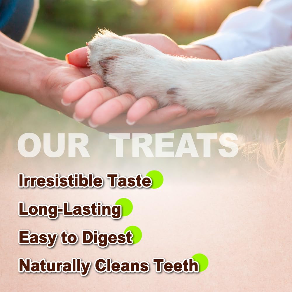 A Freschi srl Turkey Tendons for Dogs – Long-Lasting Hypoallergenic Chews (Large, 10 Count)