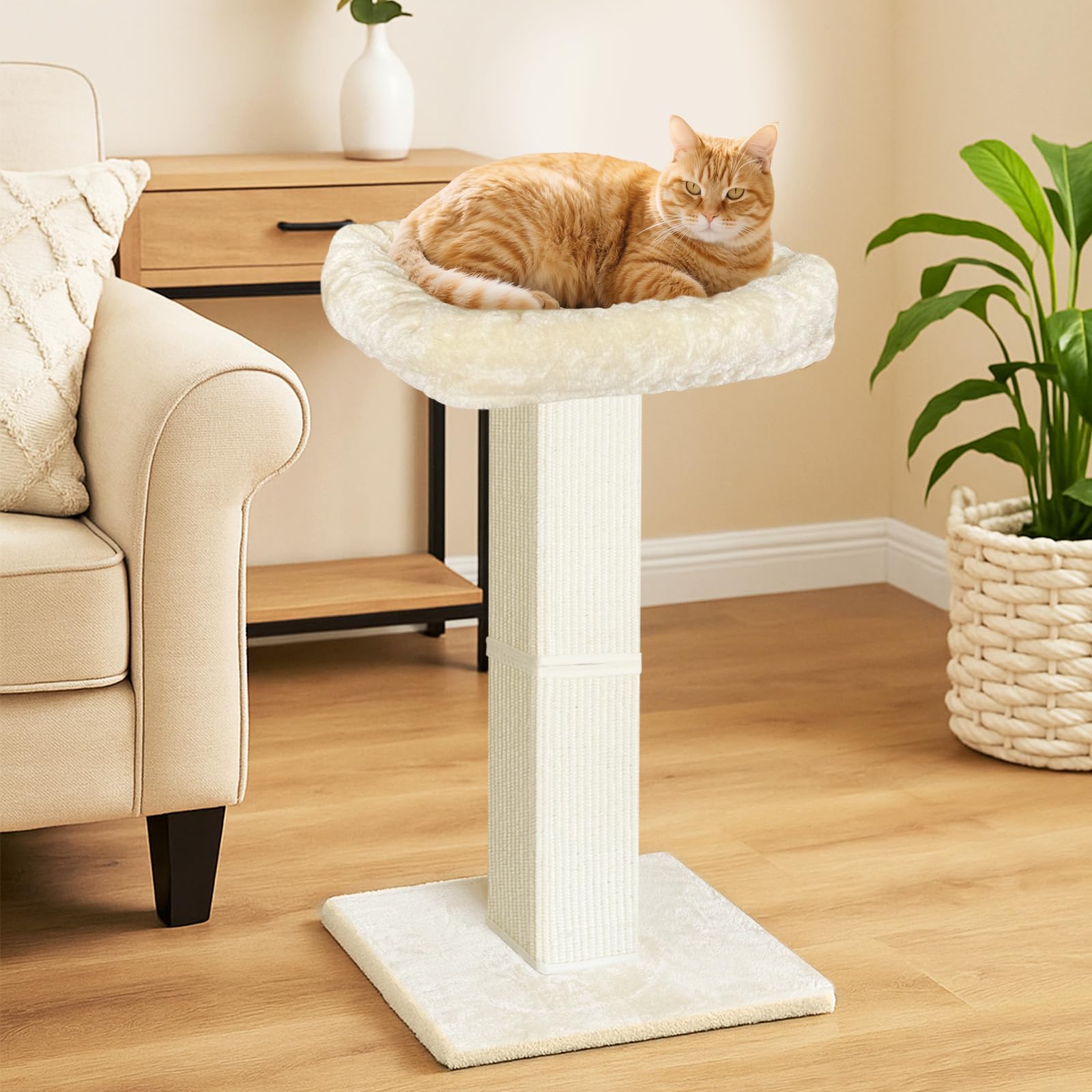 AGYM Cat Scratching Post — 32-Inch Tall with Plush Elevated Bed, Sisal & Carpet, Beige