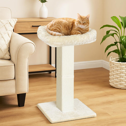 AGYM Cat Scratching Post — 32-Inch Tall with Plush Elevated Bed, Sisal & Carpet, Beige