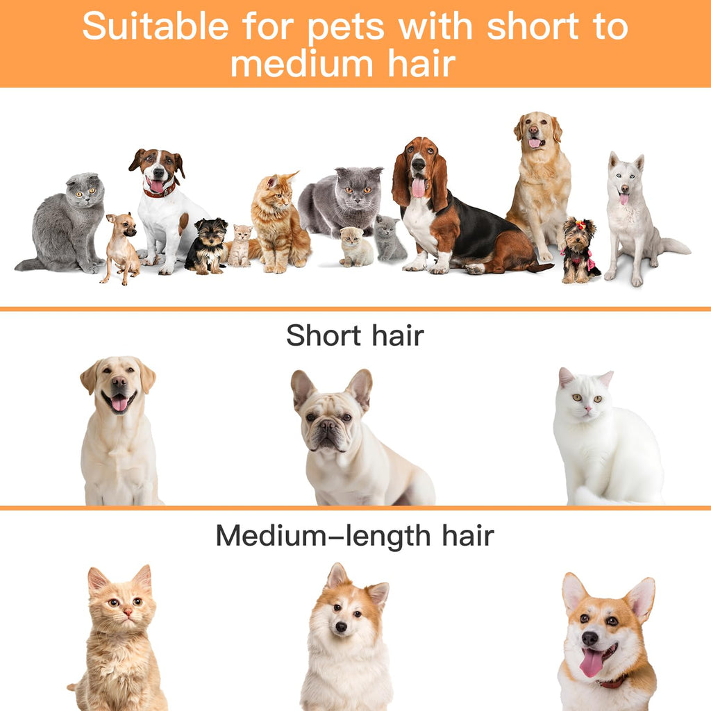 AIRROBO Dog Grooming Vacuum Kit – 12000Pa Suction, Quiet Grooming Vacuum, 2L Dust Cup, 5-in-1 Kit