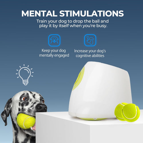 ALL FOR PAWS Automatic Ball Launcher for Medium to Large Dogs | Interactive, Rechargeable Tennis Ball Thrower
