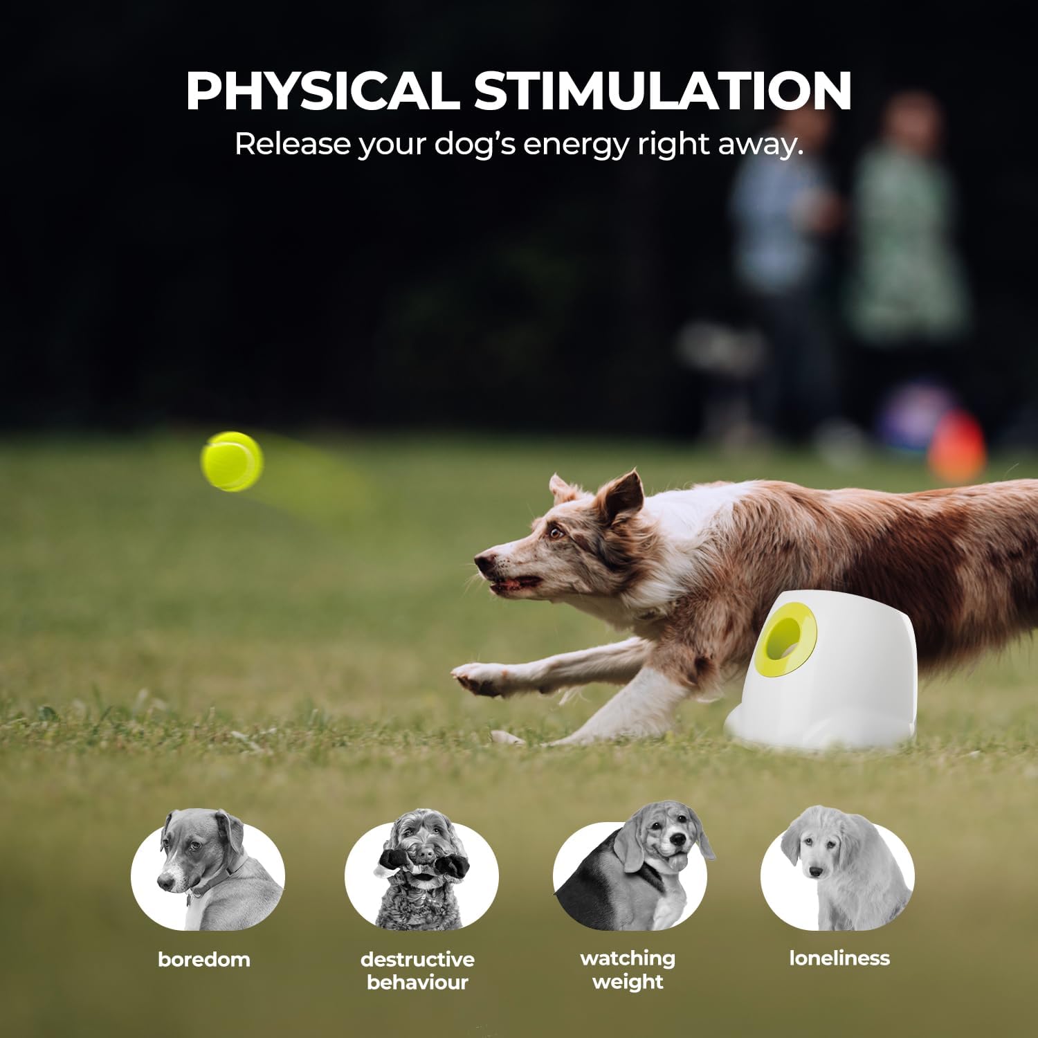 ALL FOR PAWS Automatic Ball Launcher for Medium to Large Dogs | Interactive, Rechargeable Tennis Ball Thrower