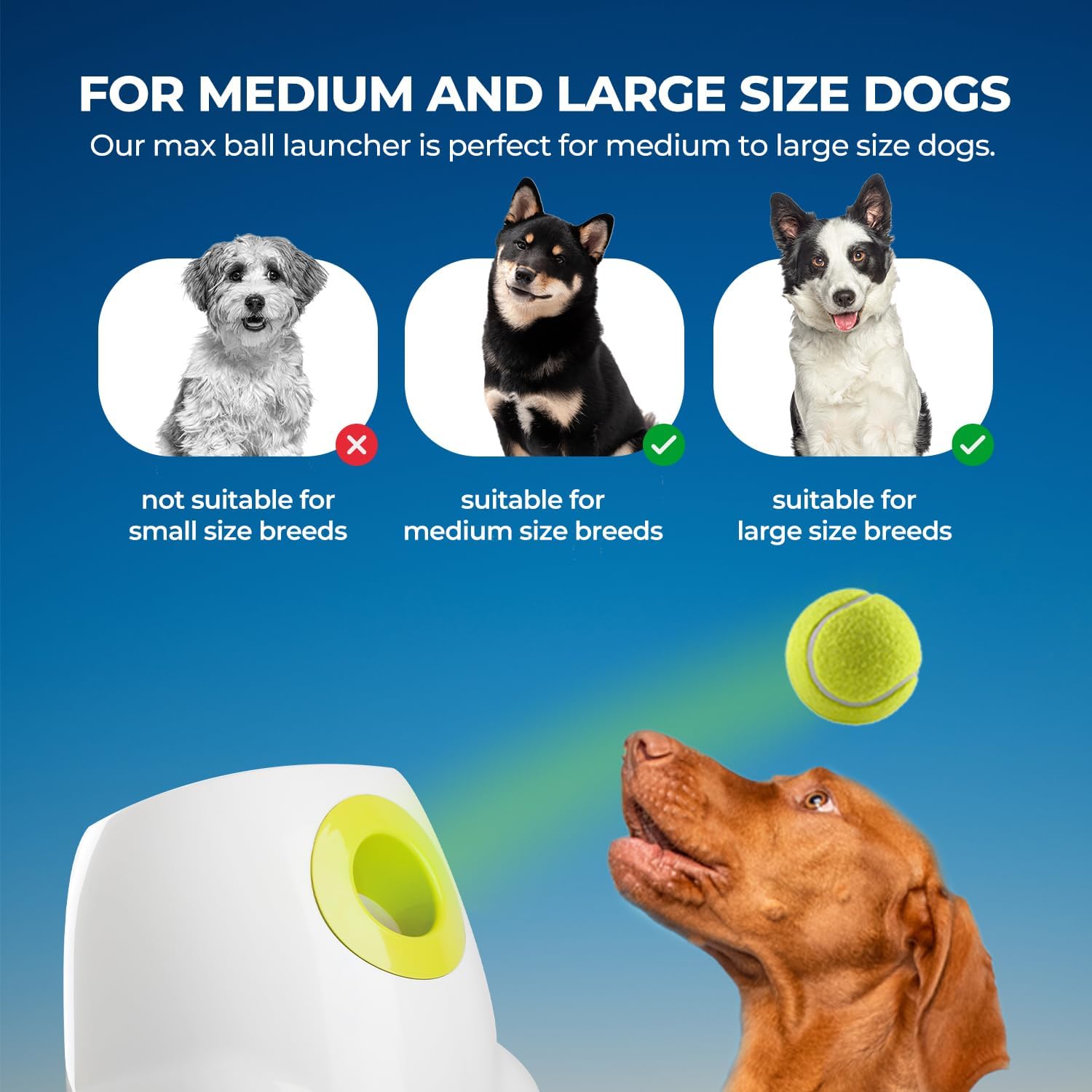 ALL FOR PAWS Automatic Ball Launcher for Medium to Large Dogs | Interactive, Rechargeable Tennis Ball Thrower