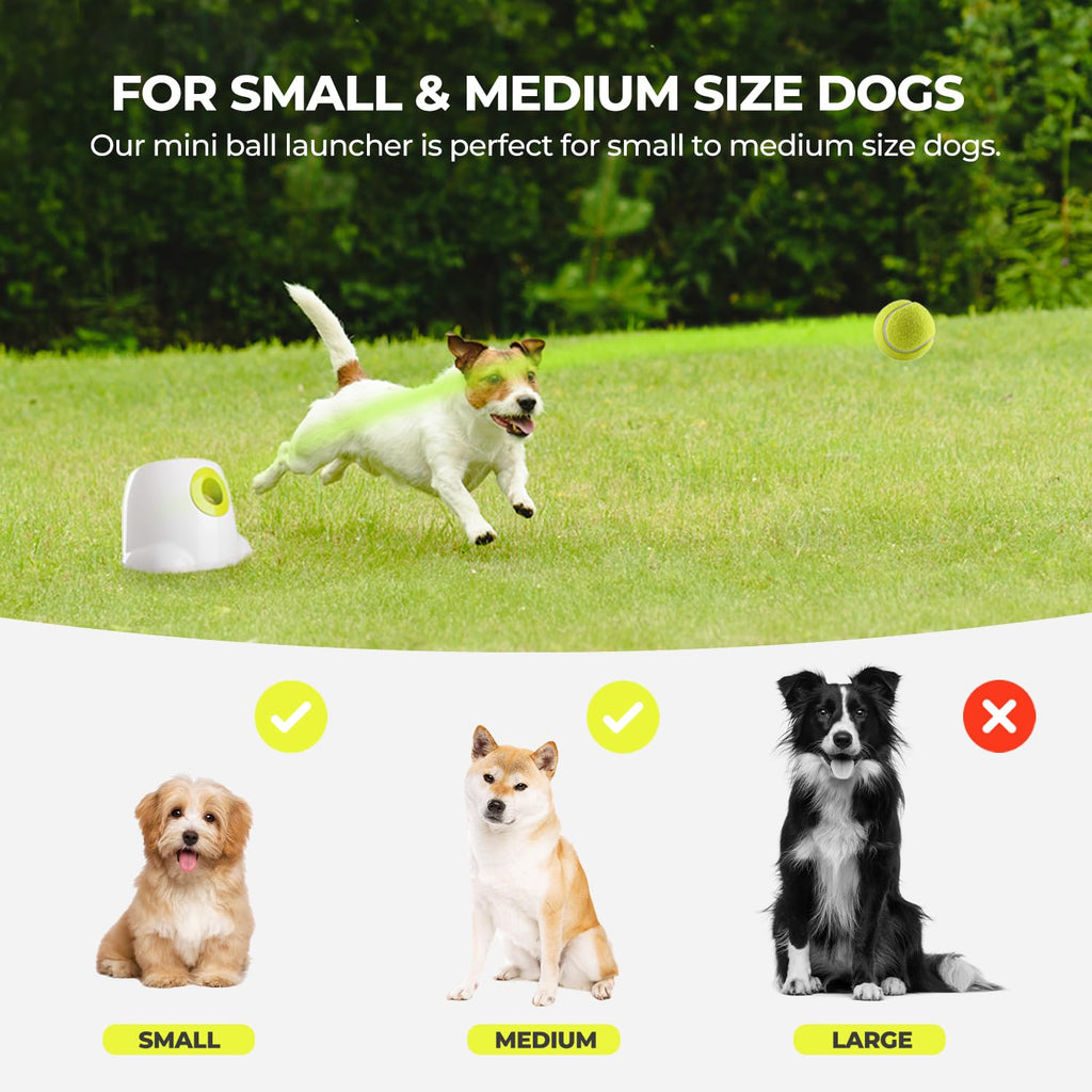 ALL FOR PAWS Original Dog Automatic Ball Launcher for Small & Medium Dogs | Interactive Fetch Toy