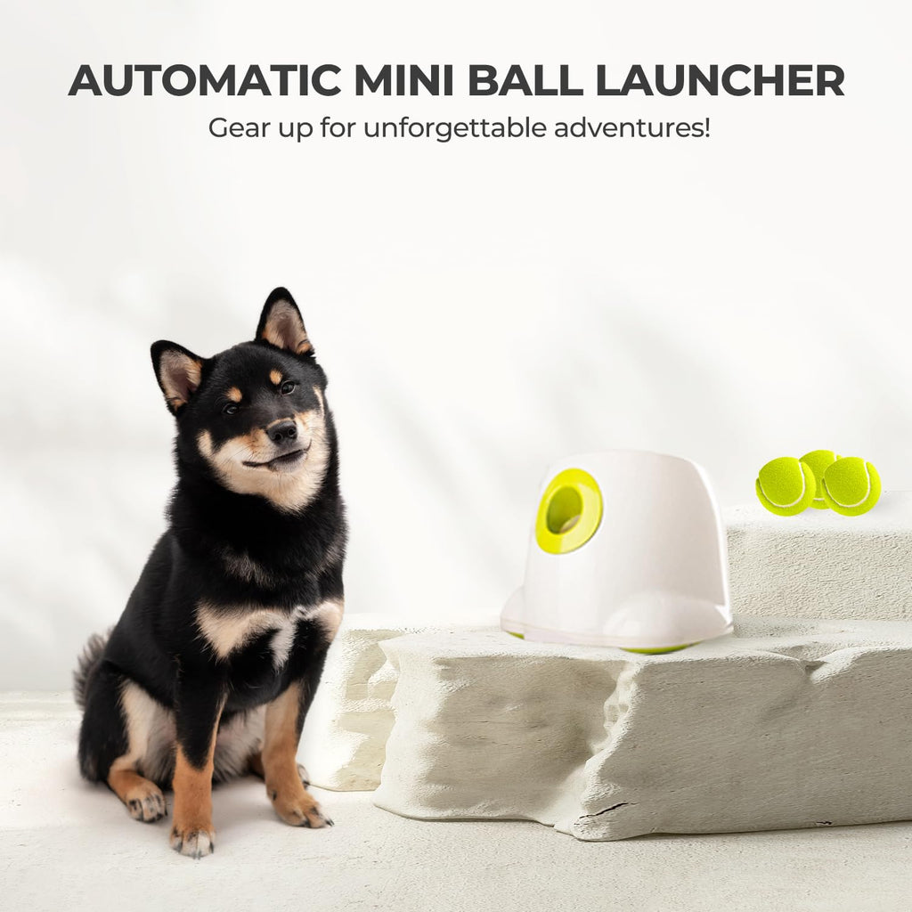 ALL FOR PAWS Original Dog Automatic Ball Launcher for Small & Medium Dogs | Interactive Fetch Toy