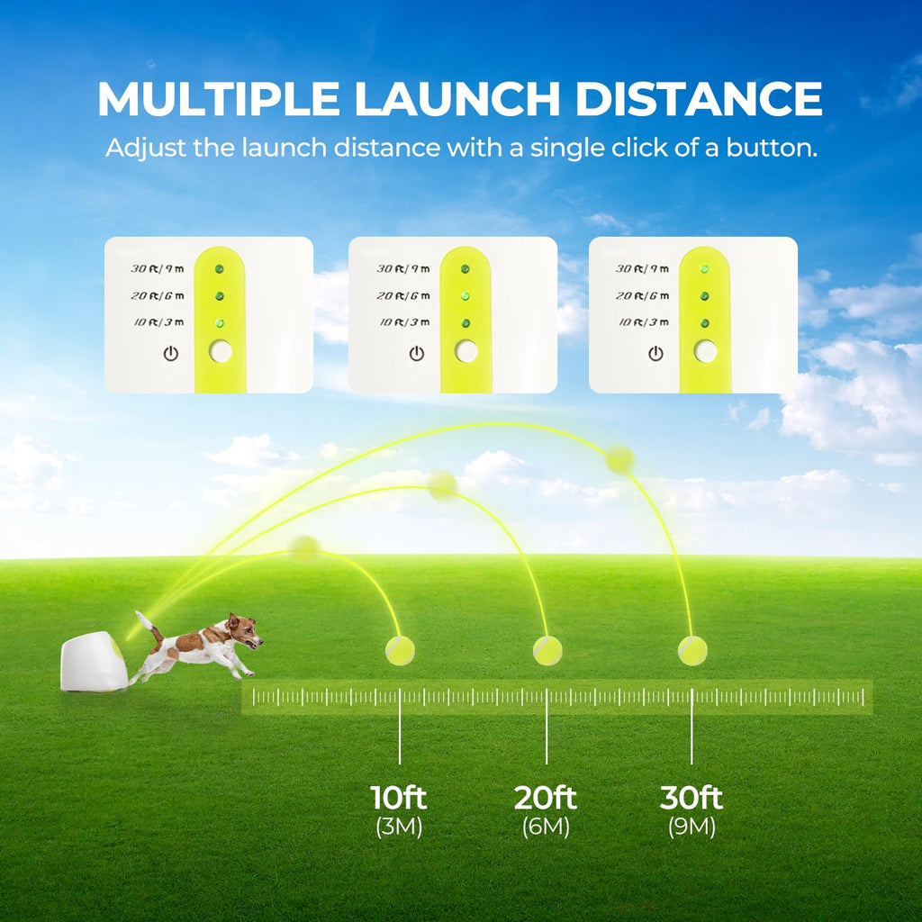 ALL FOR PAWS Original Dog Automatic Ball Launcher for Small & Medium Dogs | Interactive Fetch Toy
