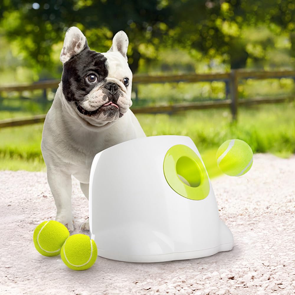ALL FOR PAWS Original Dog Automatic Ball Launcher for Small & Medium Dogs | Interactive Fetch Toy