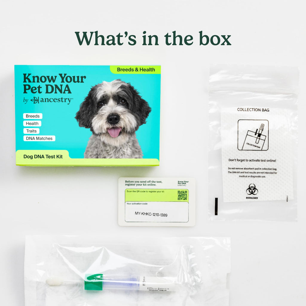 AncestryDNA Dog DNA Test – Breed Identification, Health & Trait Insights